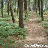 Monte do Chazo