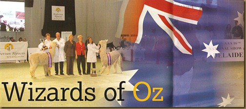 wizardofoz