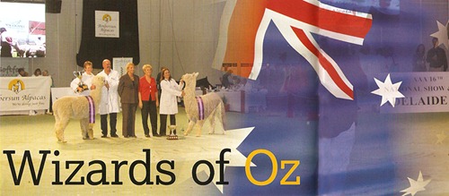 [wizardofoz[3].jpg]