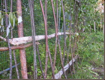 gjerdet (langsiden) ferdig 004