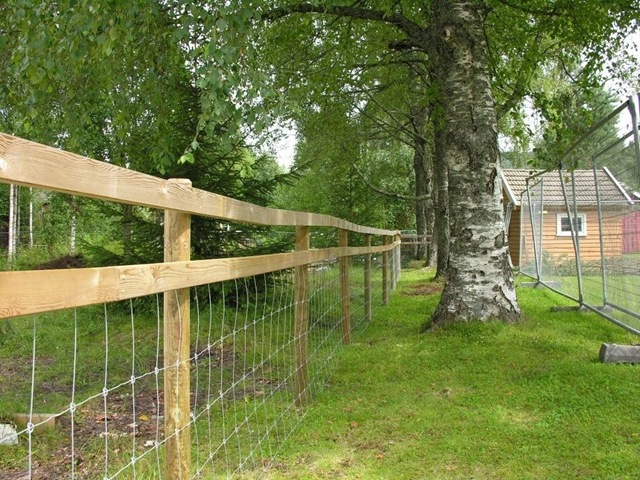 [fence 001[3].jpg]