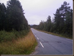 hjem_til_alpakkaene 138