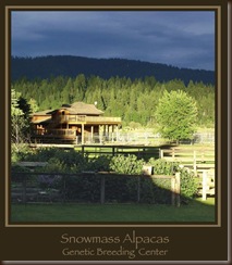 snowmass snowmass