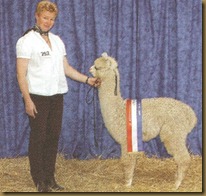 corazon champion junior male 2005 corazon champion junior male 2005