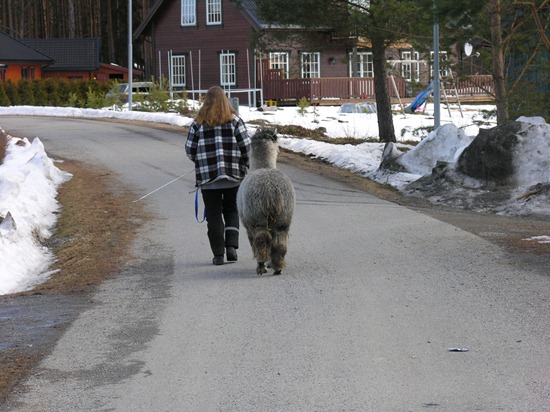 [Andre påskedag 010[3].jpg]