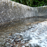 P1000741.JPG