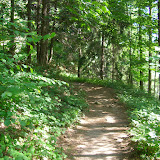 SANY0369.JPG