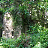 SANY0367.JPG