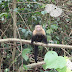 PB240075.JPG, 2009.11.21 Costa Rica