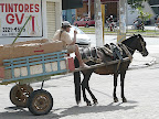 horse drawn transpo