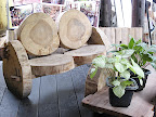 bench at Bom de Minas