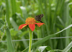 P1000647.JPG copy