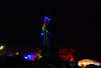 DSC_0951.JPG