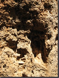 IMG_5723 IMG_5723