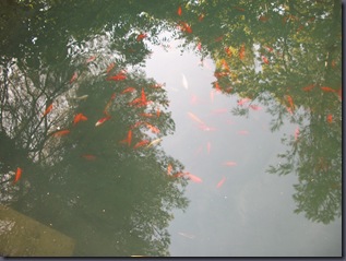 100_3173 100_3173