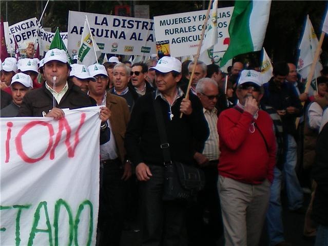 [manifestacion madrid2[3].jpg]