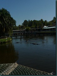 P1020089
