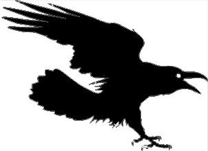 [crow-from-october-31-jpg.jpg]