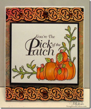 pick of the patch card-500