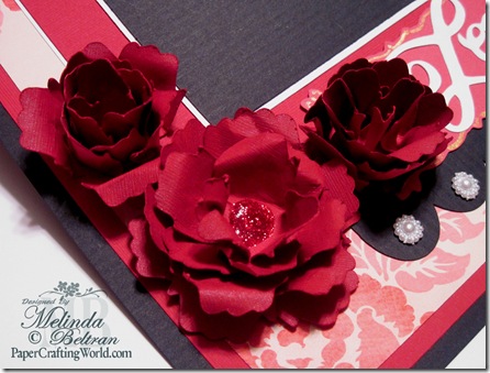 cricut rose close up gypsy cricut rose close up gypsy