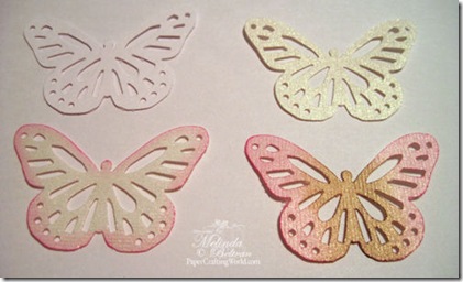 butterflies closeup 1-500 butterflies closeup 1-500