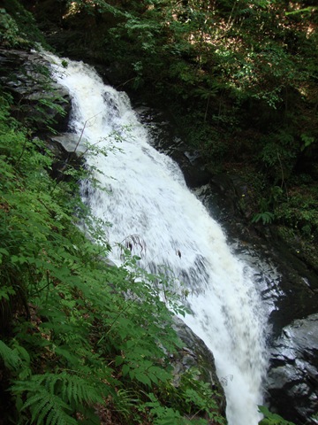 [DSC070784.jpg]