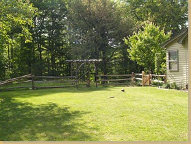 Backyard 2