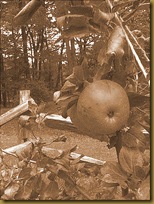 Old fashioned Honeycrisp apples