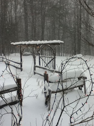 [snowy gate[2].jpg]