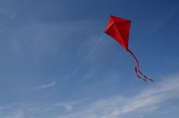 kite