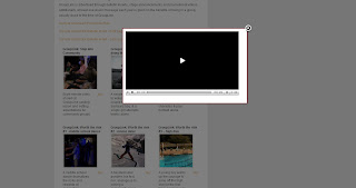 Plugin-FLV-Player-Screenshot1-Shadowbox.jpg