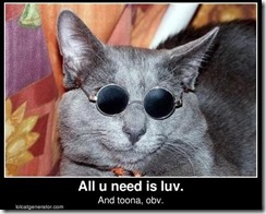 CatWearingGlassesAllYouNeedIsLove