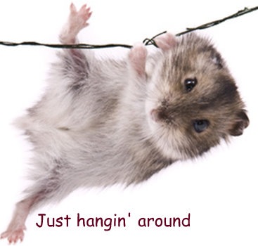 [just-hanging-around (Small)[3].jpg]