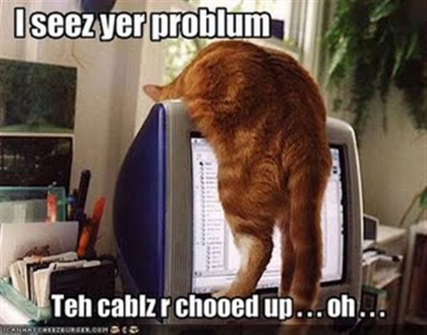 [cat-is-troubleshooting-your-troubles (Small)[1].png]