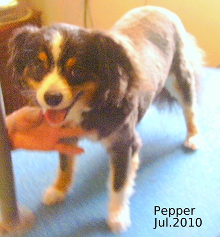 [Pepper-Jul-2010-2[3].jpg]
