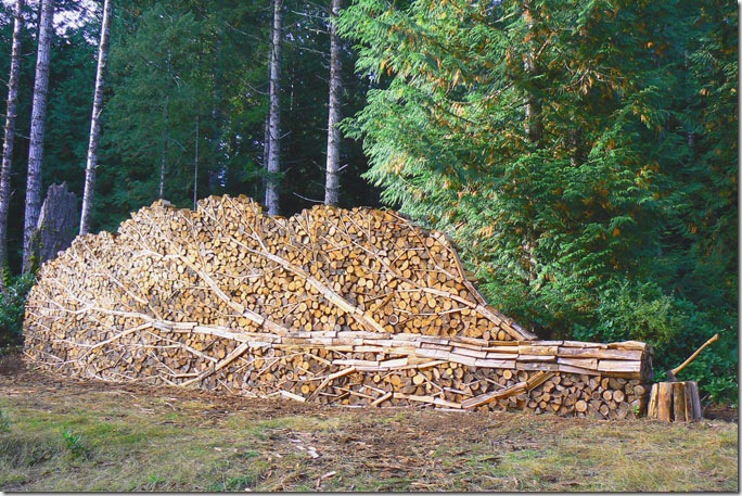 Tree-Art-sculpture