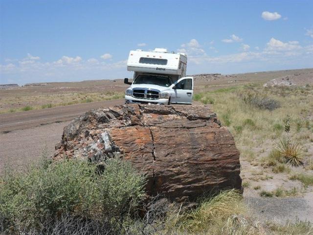 [P&N-Petrified-Forest (Small)[4].jpg]