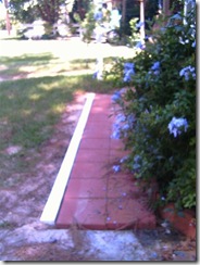 Pathway edge003 (Small)