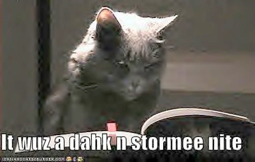 [Cat-itwuzadark-stormy-night-2[5].jpg]