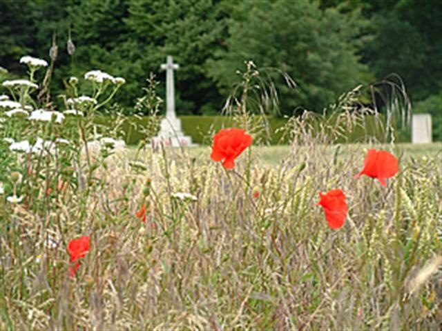 [connaughtcemeterypoppies_300Small3.jpg]