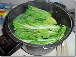 BokChoy-leaves,zucchini,onion-tomato