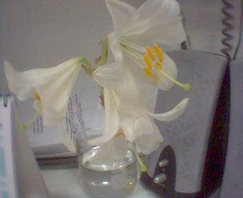 2009_0522180948.jpg