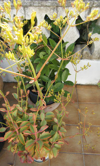 2009_12080012-1.jpg