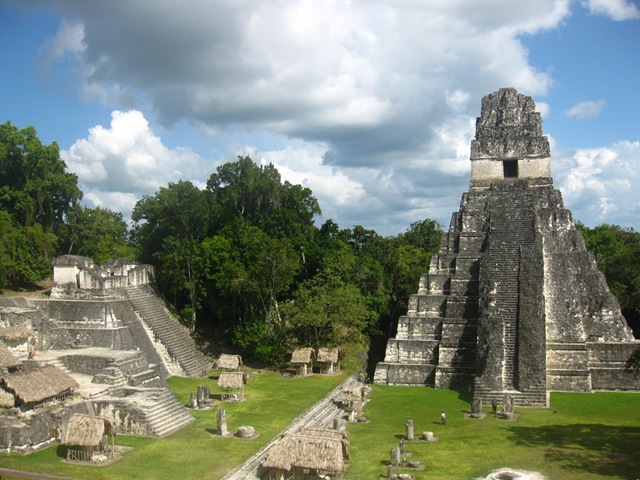 [Flores1052.jpg]