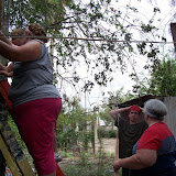 100_0950.jpg
