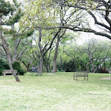 akc2008__0006.jpg