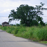 IMGP0188.JPG