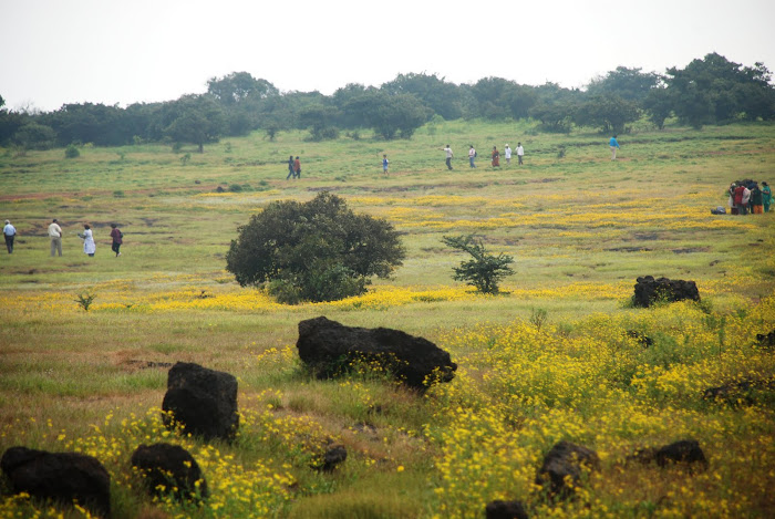 पुष्पपर्यटन