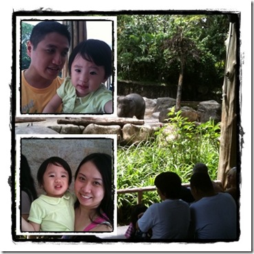 JJ 1st visit to zoo