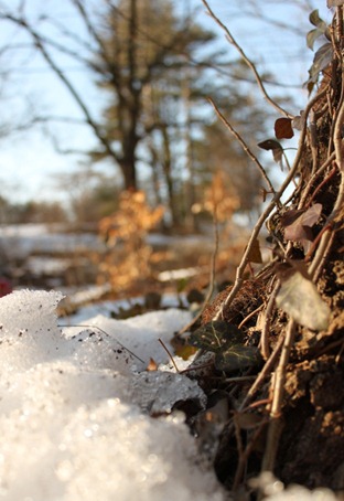 Emerging from the Ice